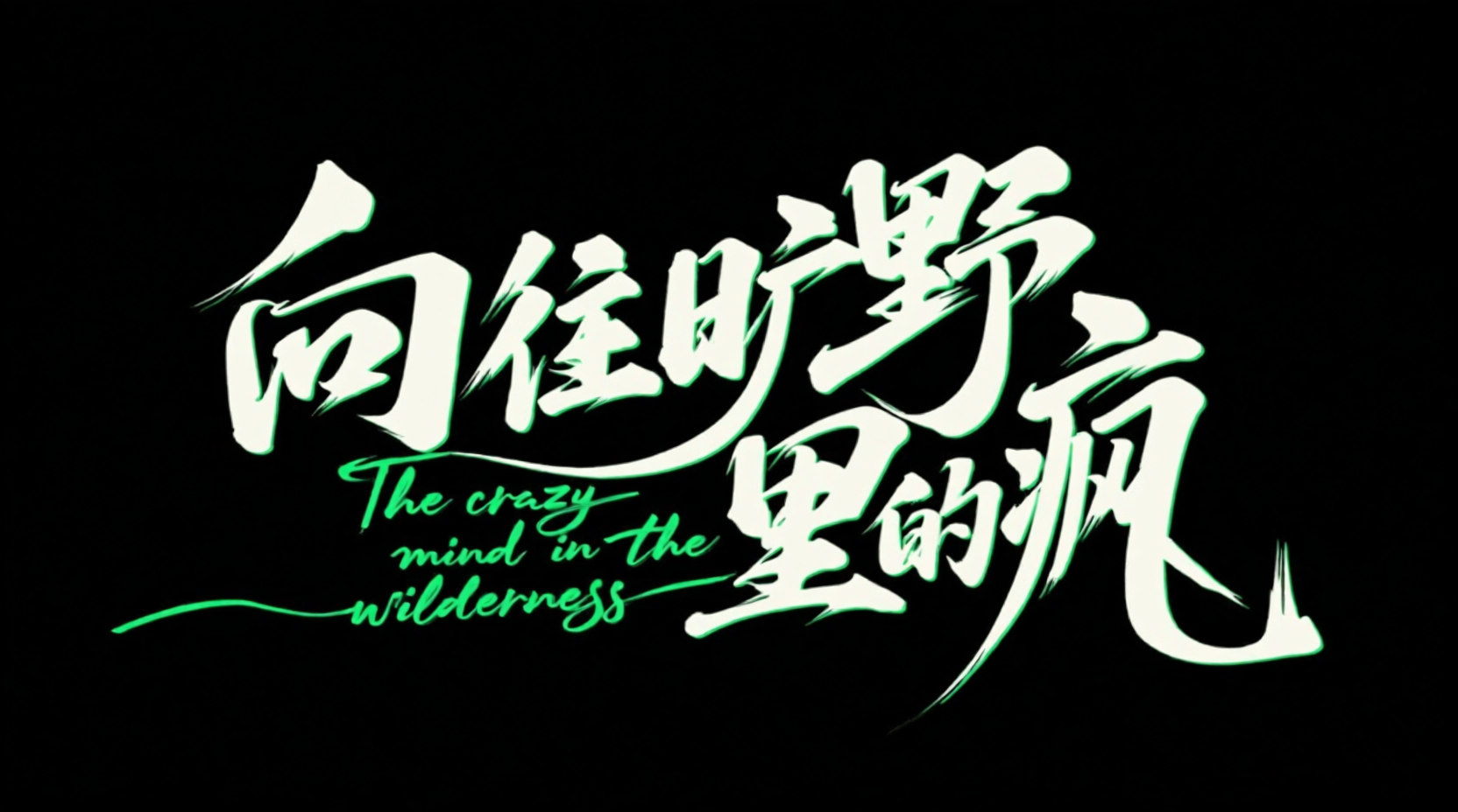 狂野书法风中文海报字