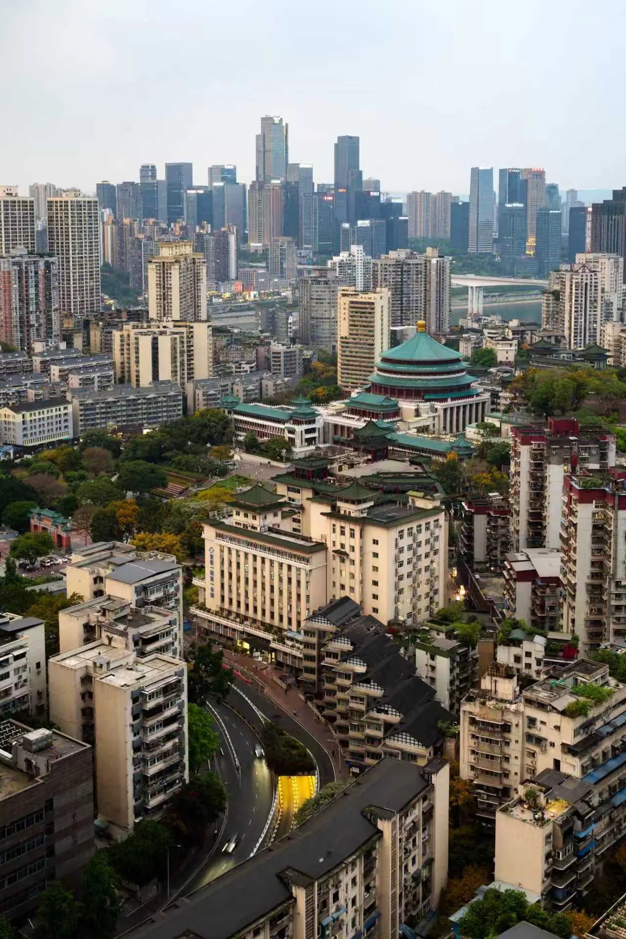 参考图