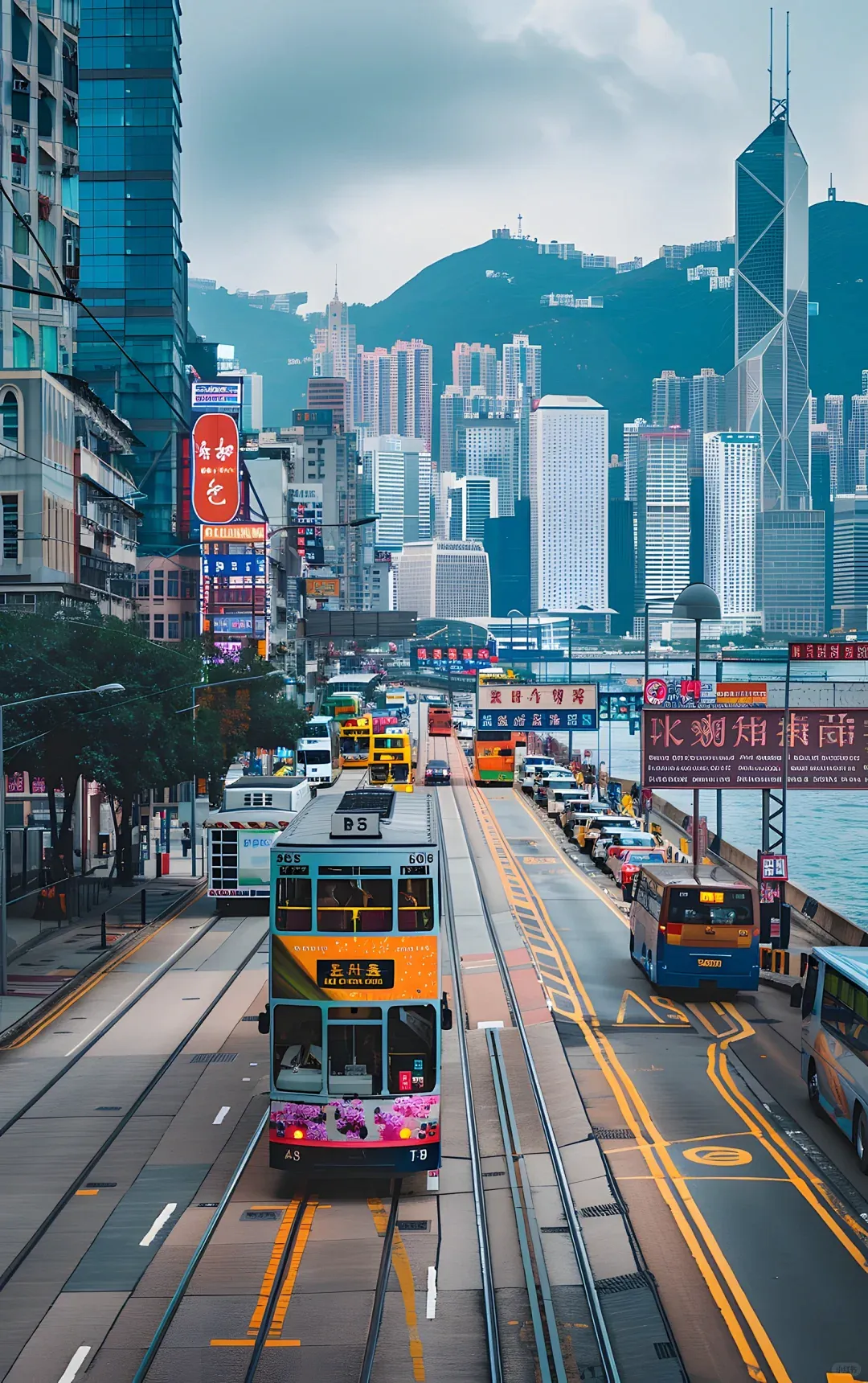 参考图